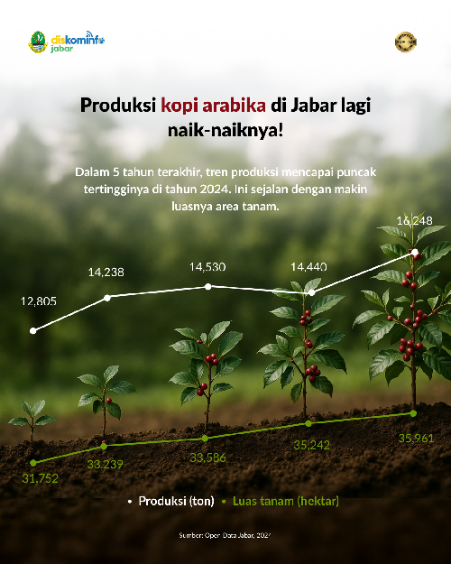 Kab. Bandung: Tempat Kopi Arabika Tumbuh dan Dinikmati